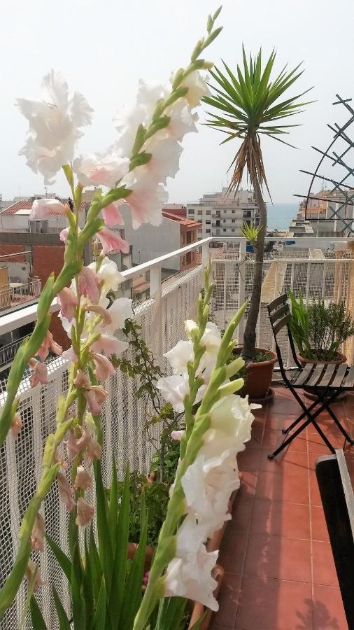 Apartamento Mediterraneo ปิเนดาเดมาร์ ภายนอก รูปภาพ