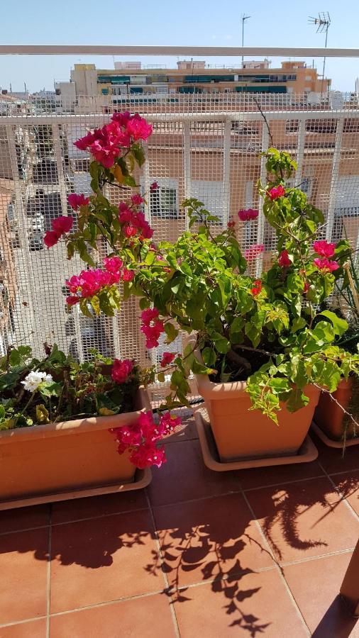 Apartamento Mediterraneo ปิเนดาเดมาร์ ภายนอก รูปภาพ